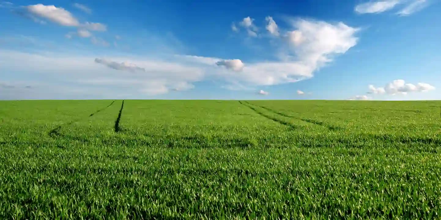 Authentication background
