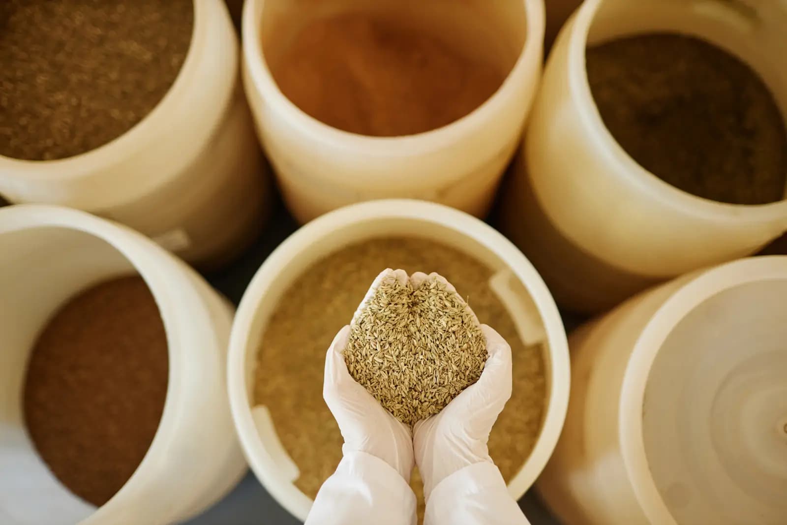 Fertilizers