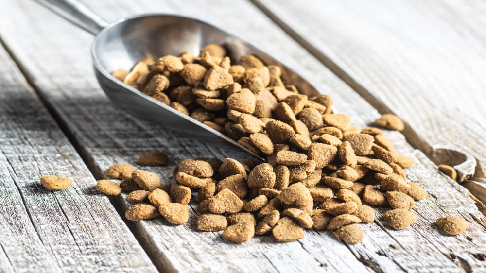 La producción de proteínas mediante fermentación de precisión es una opción atractiva para reducir el uso de animales en la producción de alimentos.